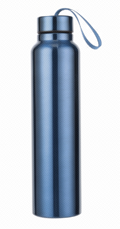 Stainless Steel Water Bottle with Strap for Sports, 950mL(Blue)